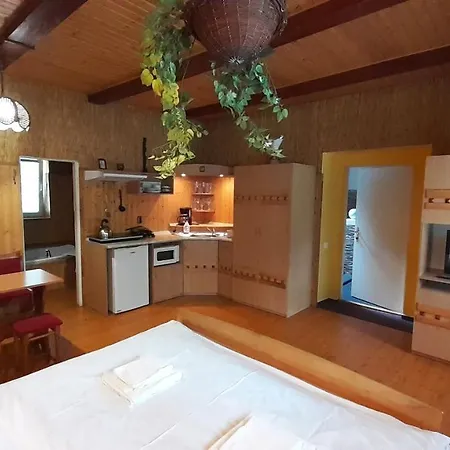 Adri Chřibská